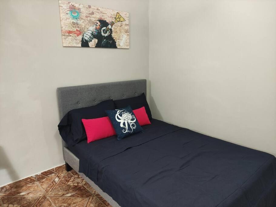 Acogedor Apartamento Completo En Boquete #1. Pet Friendly Appartamento Esterno foto
